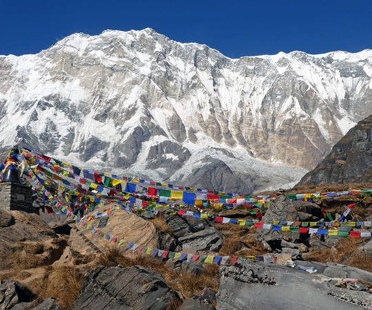 Annapurna base camp trek