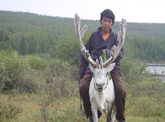 Exploring Mongolia 550 400