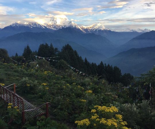 Ghorepani Poon Hill Trek
