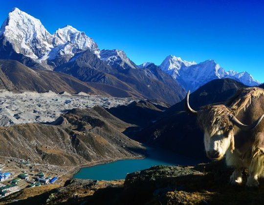 Gokyo Ri Everest Trek