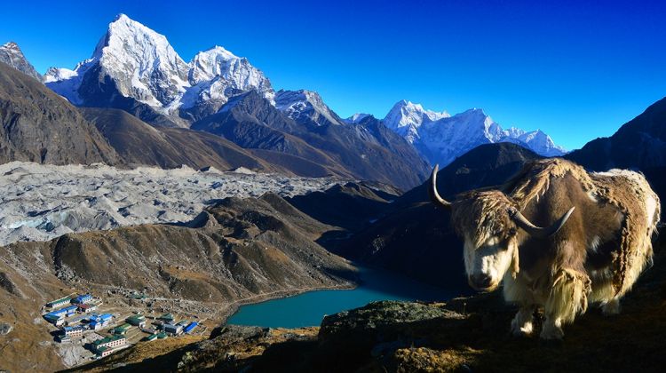 Gokyo Ri Everest Trek
