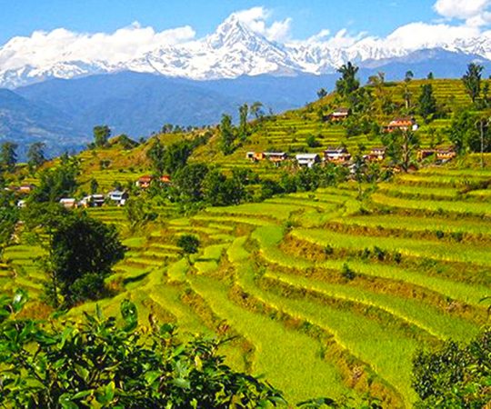 Royal trek in Annapurna