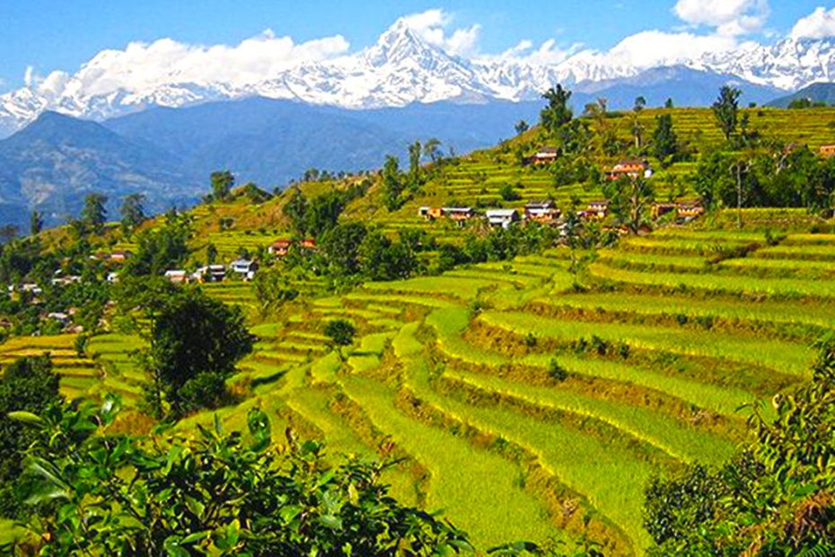 Royal trek in Annapurna