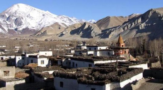 Upper mustang photo