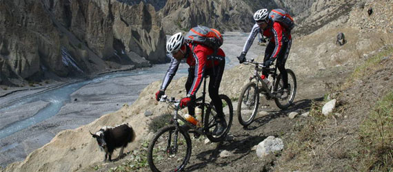 Upper Mustang Mountain Biking Photo
