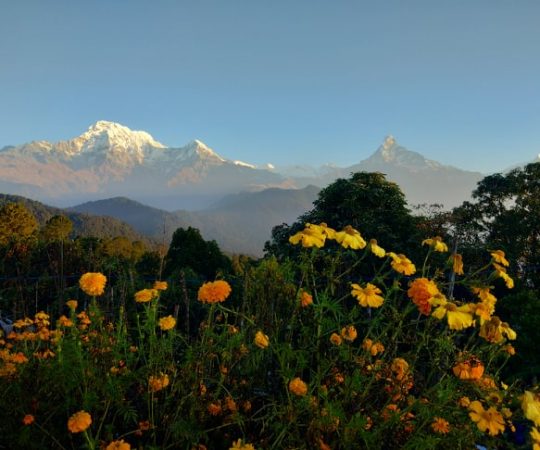 Amazing Nepal tour & travels